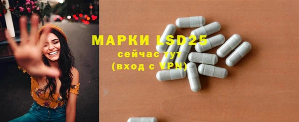 прущие грибы Арсеньев